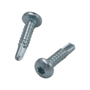 Bohrschraube Linsenkopf TX 4,8 x 32mm - 500 Stk.