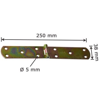 Französisches Kistenband 250x38x2,5 mm ZF250