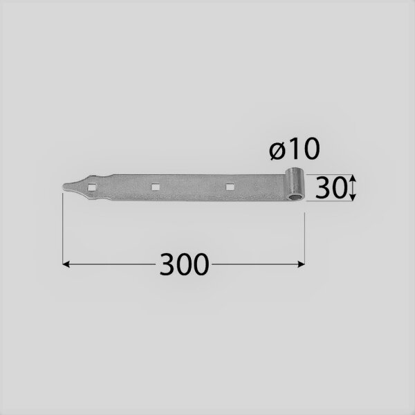 Ladenband  300x30 D10 mm