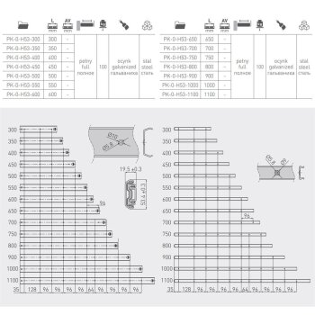 Schwerlastauszug bis 100 kg 1000 mm