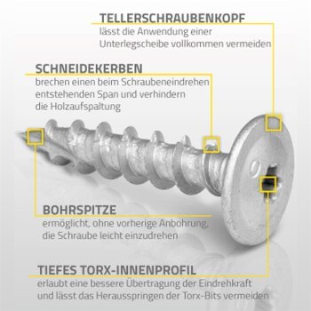 Pfostenverbinderschrauben Tellerkopf 8x40 mm - 8er Pack CTO