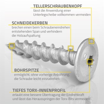 Pfostenverbinderschrauben Tellerkopf 8x50 mm - 8er Pack CTO