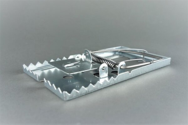 Rattenfalle mit Zacken Set