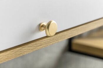 Möbelknopf LORENA, gebürstetes gold