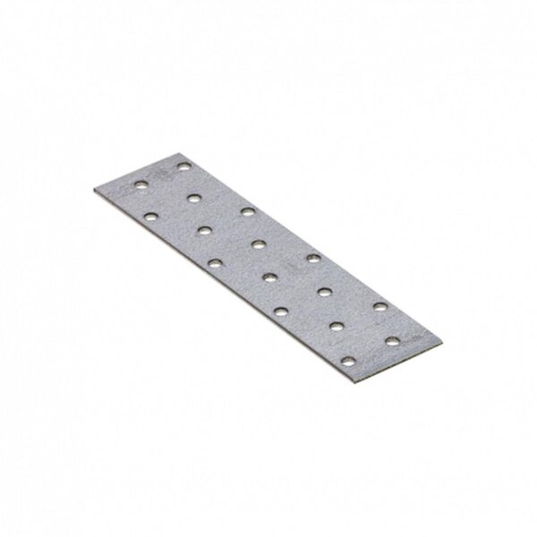 Lochplatte 160x40x2,0mm PP4