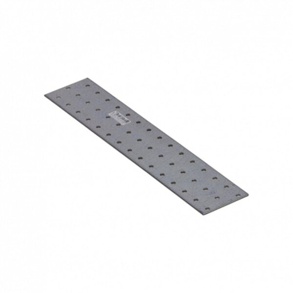 Lochplatte 60x300x2,0mm PP30