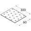 Lochplatte 60x300x2,0mm PP30