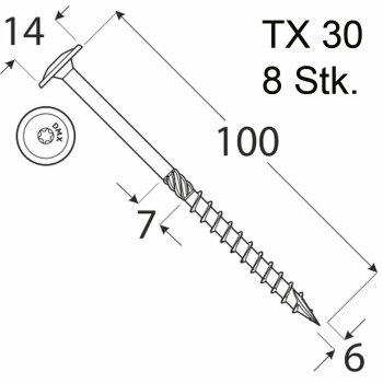 8 Stk. Holzschrauben Kleinpack Flachkopf 6 x 100 mm TX30