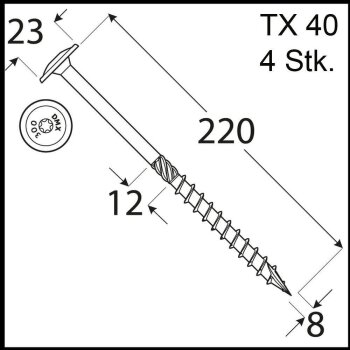 4 Stk. Holzschrauben Kleinpack Flachkopf 8 x 220 mm TX40